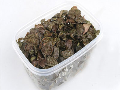昕景臻草本專業供應紅菇，優質的紅菇招商