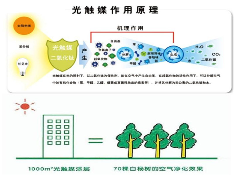 車檢測(cè)代理商：上等車檢測(cè)睿潔環(huán)保供應(yīng)