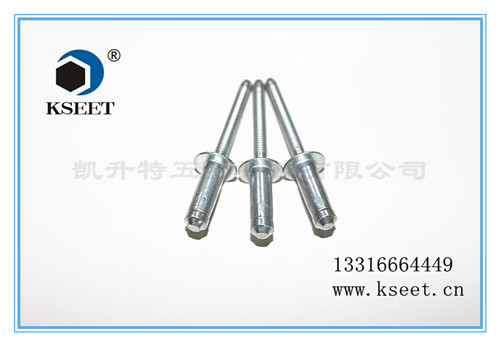 輕樂(lè)拉釘廠家直銷(xiāo) 全不銹鋼海馬型抽芯鉚釘 半圓頭輕樂(lè)拉釘柳釘 6.4mm價(jià)格原始圖片2