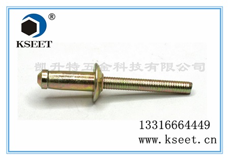 輕樂(lè)拉釘廠家直銷(xiāo) 全不銹鋼海馬型抽芯鉚釘 半圓頭輕樂(lè)拉釘柳釘 6.4mm價(jià)格原始圖片3