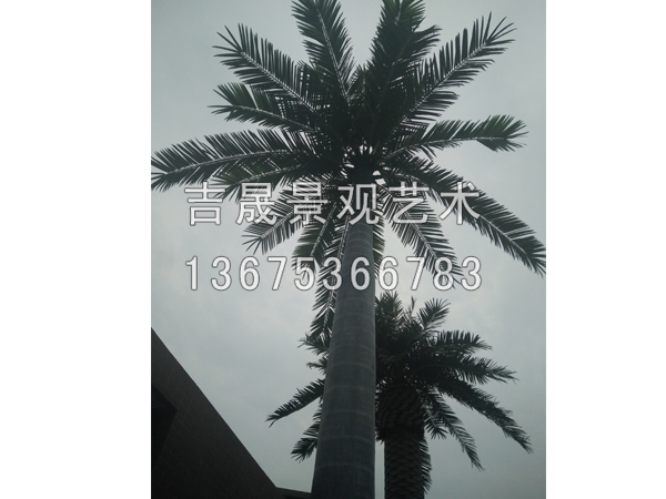 龜紋石多少錢一噸 龜紋石小型盆景 龜紋石假山圖片【吉晟景觀】