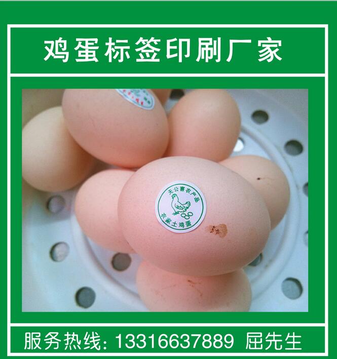 雞蛋標(biāo)簽 土雞蛋山雞蛋 無(wú)公害標(biāo)簽 生態(tài)環(huán)保標(biāo)簽 有機(jī)蔬菜標(biāo)簽