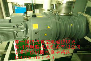愛德華真空泵維修E2M80+EH250 螺桿泵維修  干泵維修