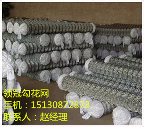 呼倫貝爾勾花網(wǎng)廠家 勾花網(wǎng)價(jià)格 勾花網(wǎng)規(guī)格