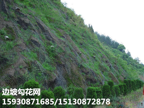 烏蘭察布勾花網 勾花網加工廠 鍍鋅勾花網原始圖片2