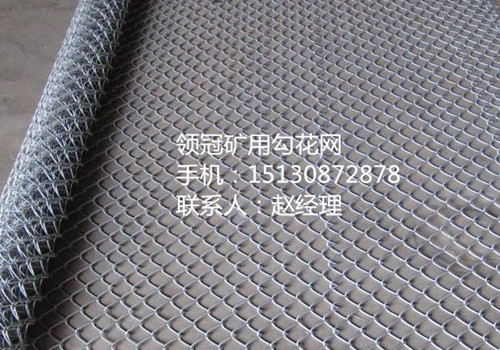 烏蘭察布勾花網 勾花網加工廠 鍍鋅勾花網原始圖片3