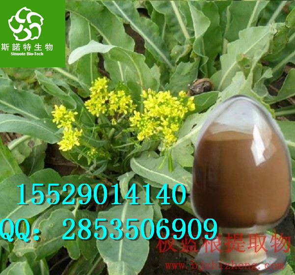 板藍根粉廠家直銷|優質板藍根速溶粉原始圖片2