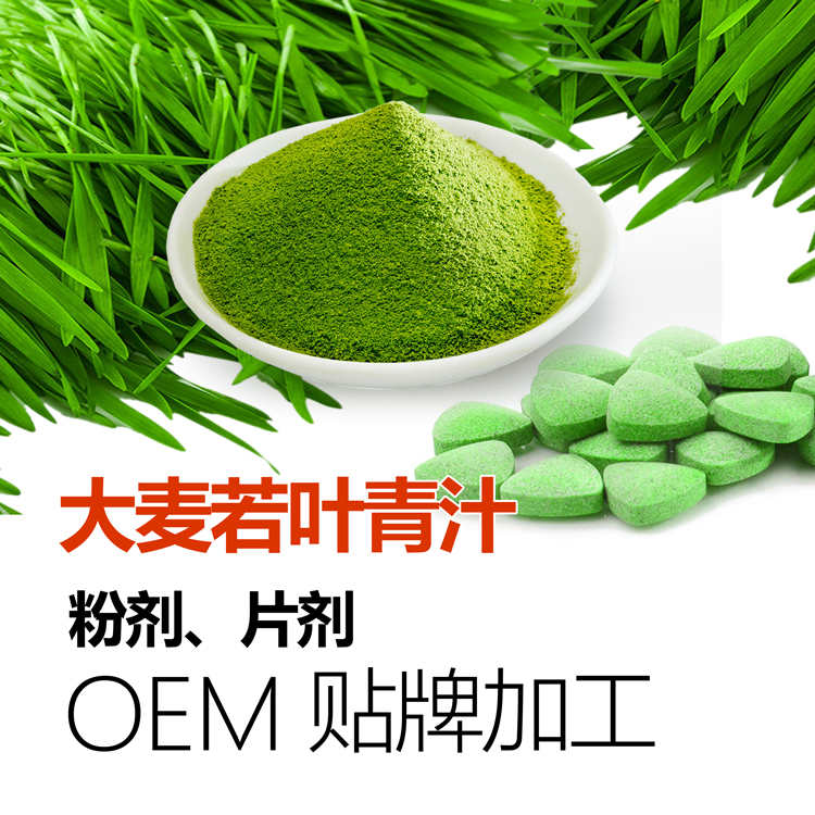 青麥魔芋酵素代餐粉OEM貼牌代加工 全營養(yǎng)代餐粉批發(fā) 供應(yīng)五谷代餐粉