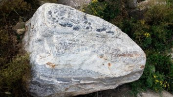 河岸花紋石 泰山石 產地直銷各種類型河岸花紋石 景觀石