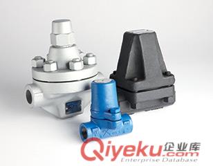 BPM21L壓力平衡式蒸汽疏水閥-英國(guó)Spiraxsarco（斯派莎克）閥門(mén)