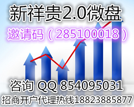 新祥贵2.0微交易推荐码285100018